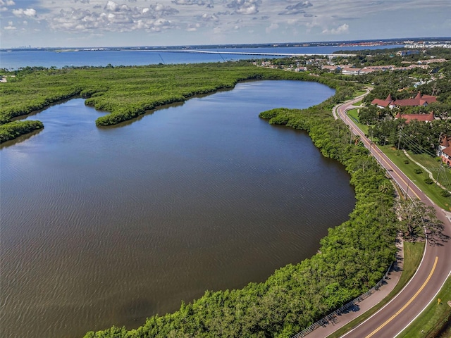 320 N Bayshore Blvd Unit 107, Clearwater, FL 33759 - photo 8