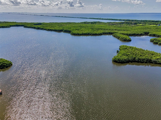 320 N Bayshore Blvd Unit 107, Clearwater, FL 33759 - photo 10
