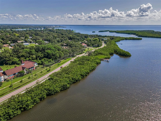 320 N Bayshore Blvd Unit 107, Clearwater, FL 33759 - photo 57