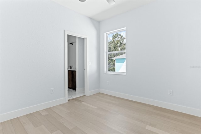 2512 W Chestnut St Unit 2, Tampa, FL 33607 - photo 21