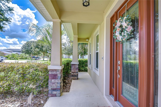 2499 Calvano Dr, Land O Lakes, FL 34639 - photo 4