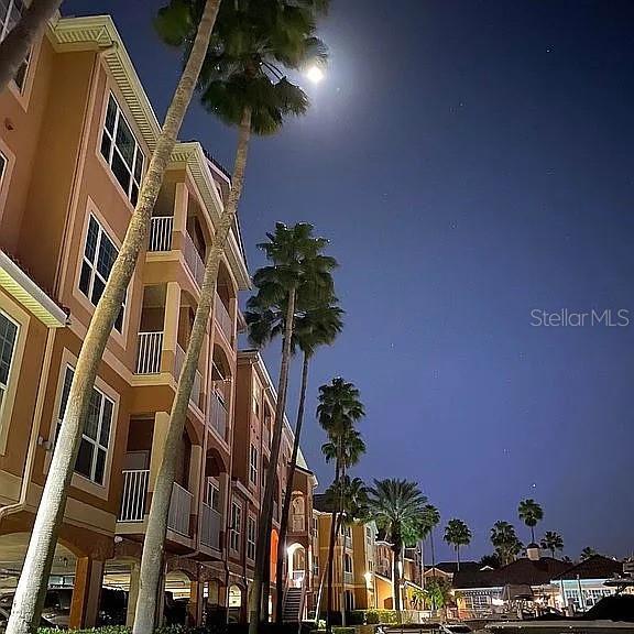 5000 Culbreath Key Way Unit 8-115, Tampa, FL 33611 - photo 36