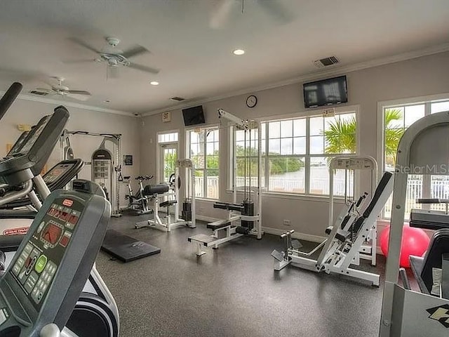 5000 Culbreath Key Way Unit 8-115, Tampa, FL 33611 - photo 45