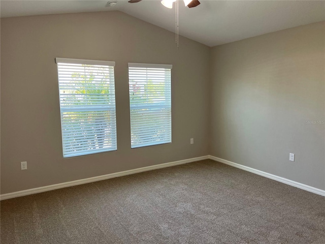 13106 Fruitville Way, Riverview, FL 33579 - photo 10