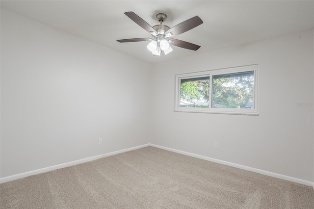 3303 Picwood Rd, Tampa, FL 33618 - photo 13