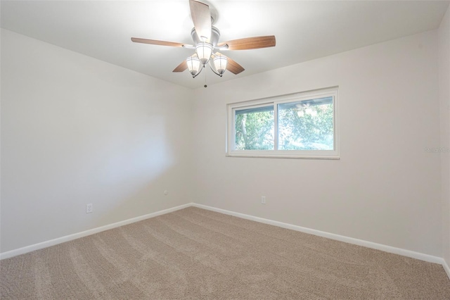 3303 Picwood Rd, Tampa, FL 33618 - photo 17