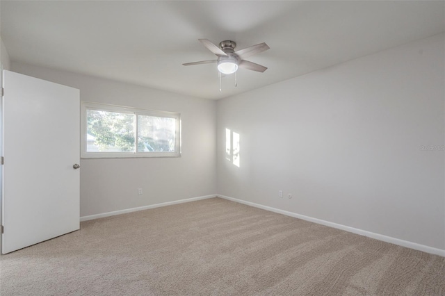 3303 Picwood Rd, Tampa, FL 33618 - photo 19