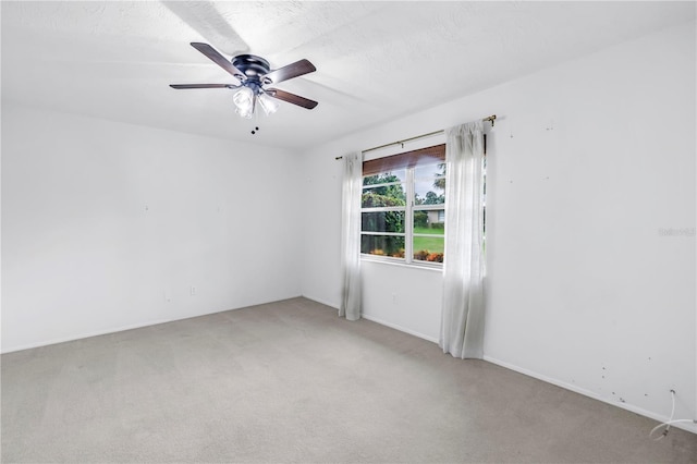 6884 W Country Club Ln, Sarasota, FL 34243 - photo 18