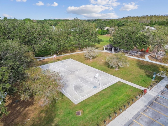 19521 Morden Blush Dr, Lutz, FL 33558 - photo 27