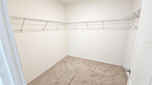 1724 Ranger Highlands Rd, Kissimmee, FL 34744 - photo 27