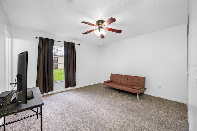 8004 N 46th St, Tampa, FL 33617 - photo 10