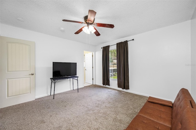 8004 N 46th St, Tampa, FL 33617 - photo 11