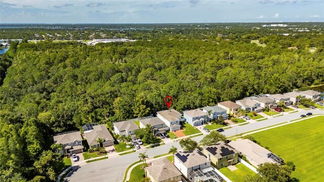382 Rosalind Ln, Oldsmar, FL 34677 - photo 67