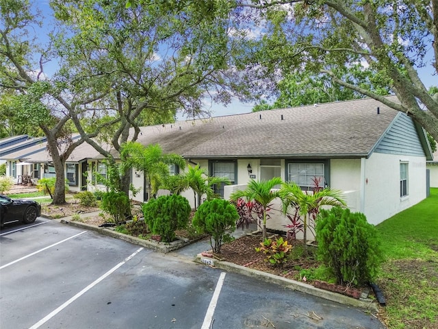 3842 La Costa Ln, Largo, FL 33771 - photo 3