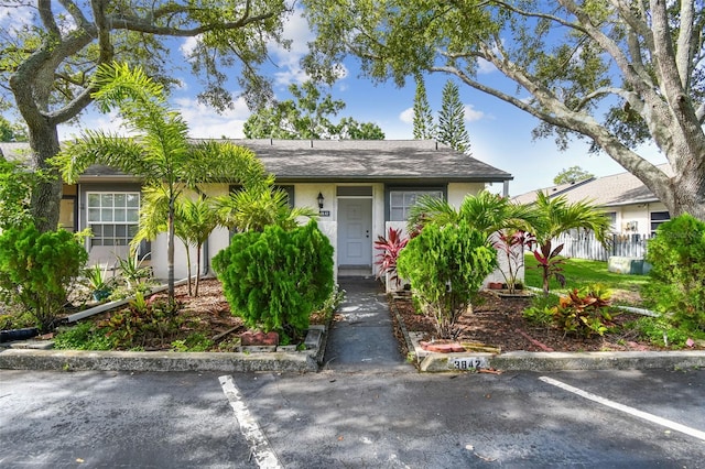 3842 La Costa Ln, Largo, FL 33771 - photo 40