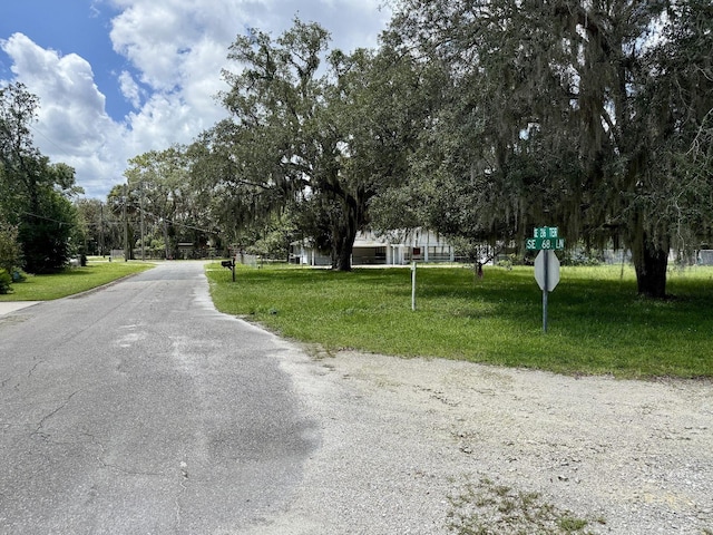 SE 68th Ln, Hawthorne, FL 32640 - photo 4