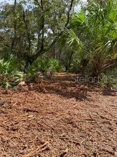 18429 Retriever Rd, Weeki Wachee, FL 34614 - photo 3