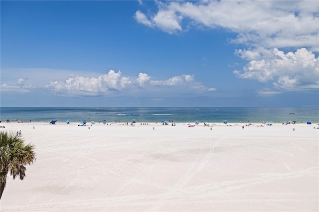 11 San Marco St Unit 803, Clearwater, FL 33767 - photo 33