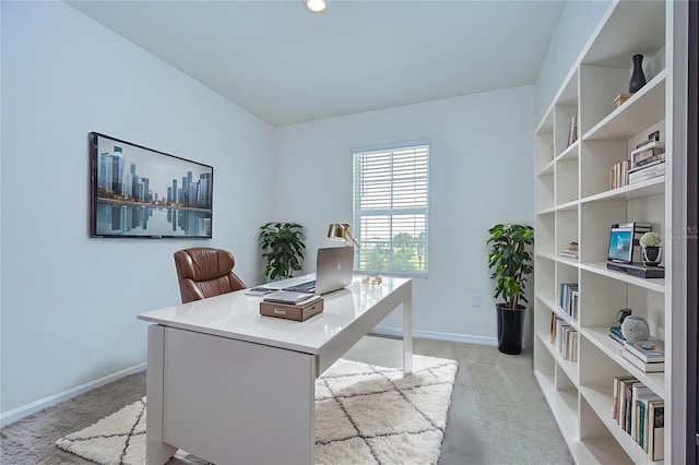 1382 Crescent Hoop Way, Wesley Chapel, FL 33543 - photo 21