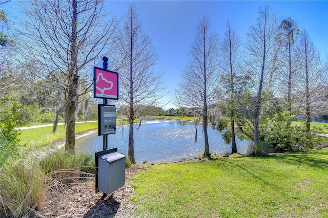 1382 Crescent Hoop Way, Wesley Chapel, FL 33543 - photo 32