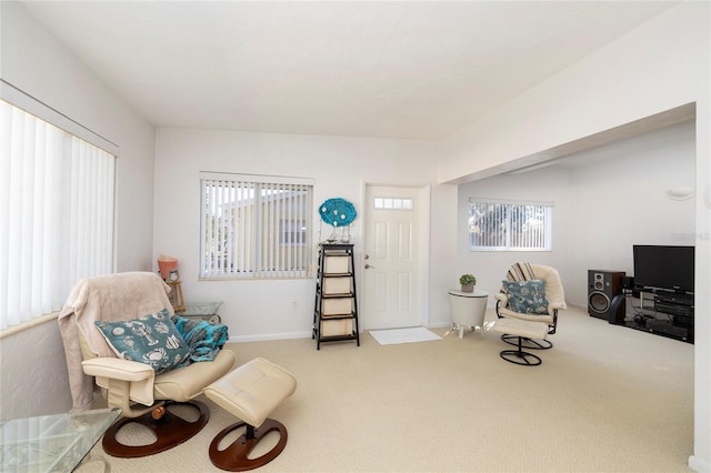 10256 51st Ave N, Saint Petersburg, FL 33708 - photo 7