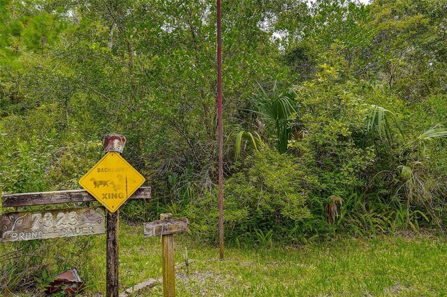 7323 Ray Browning Rd, Brooksville, FL 34601 - photo 31