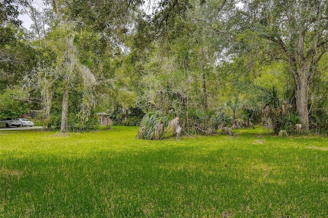 7323 Ray Browning Rd, Brooksville, FL 34601 - photo 32