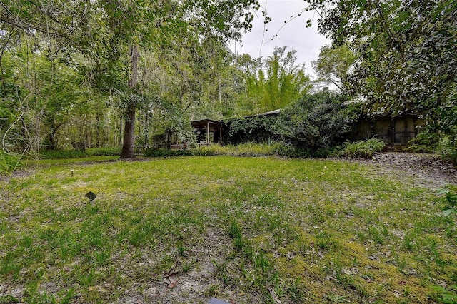 7323 Ray Browning Rd, Brooksville, FL 34601 - photo 33