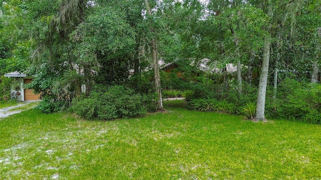 7323 Ray Browning Rd, Brooksville, FL 34601 - photo 35