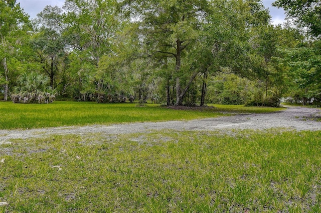 7323 Ray Browning Rd, Brooksville, FL 34601 - photo 36