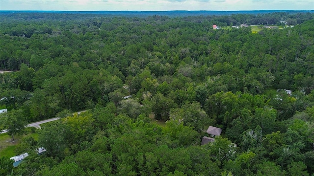 7323 Ray Browning Rd, Brooksville, FL 34601 - photo 40