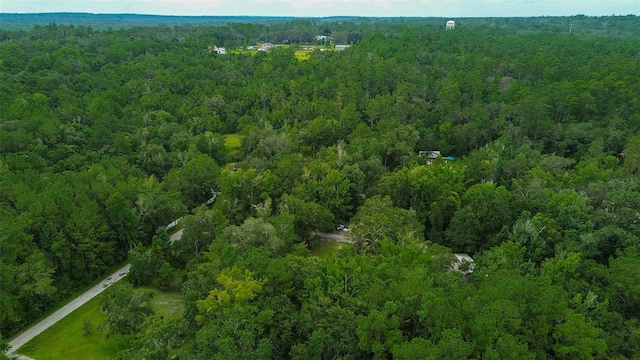 7323 Ray Browning Rd, Brooksville, FL 34601 - photo 42