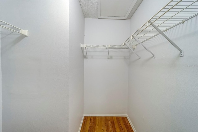 3001 58th Ave S Unit 904, Saint Petersburg, FL 33712 - photo 26