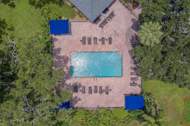 3001 58th Ave S Unit 904, Saint Petersburg, FL 33712 - photo 48
