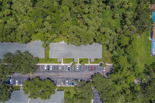 3001 58th Ave S Unit 904, Saint Petersburg, FL 33712 - photo 51