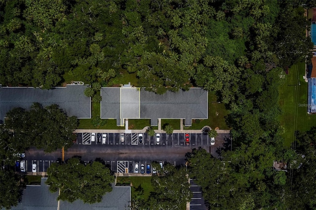 3001 58th Ave S Unit 904, Saint Petersburg, FL 33712 - photo 52