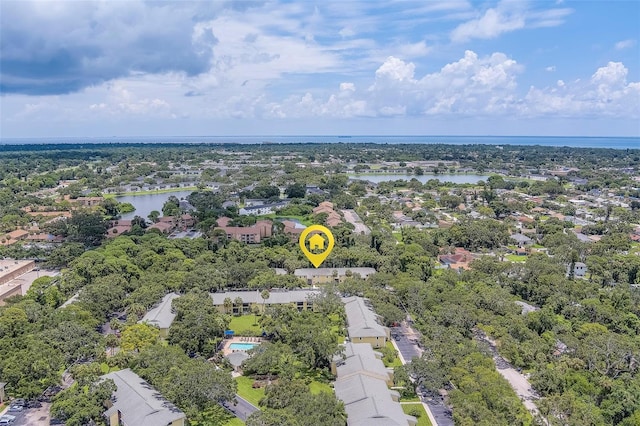 3001 58th Ave S Unit 904, Saint Petersburg, FL 33712 - photo 62