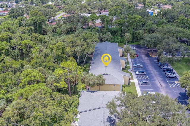 3001 58th Ave S Unit 904, Saint Petersburg, FL 33712 - photo 66