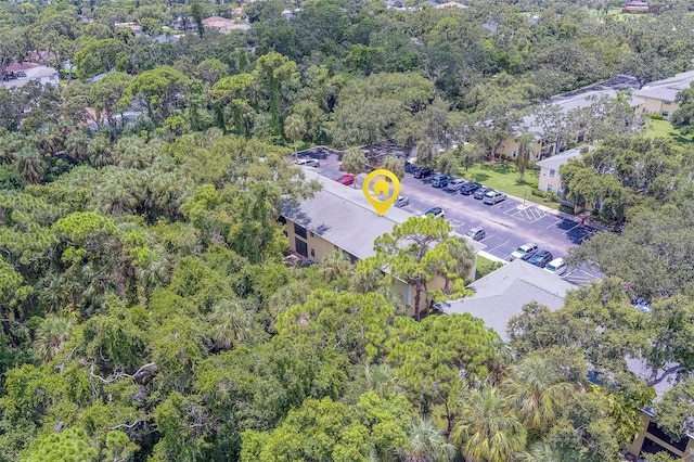 3001 58th Ave S Unit 904, Saint Petersburg, FL 33712 - photo 68