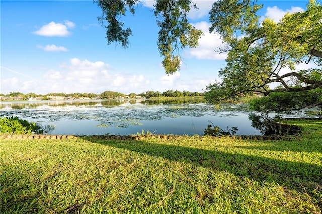 8304 Palma Vista Ln, Tampa, FL 33614 - photo 3