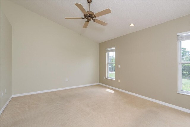 9223 Bonnie Cove Dr, Weeki Wachee, FL 34613 - photo 13