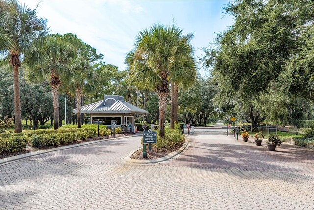 9223 Bonnie Cove Dr, Weeki Wachee, FL 34613 - photo 22