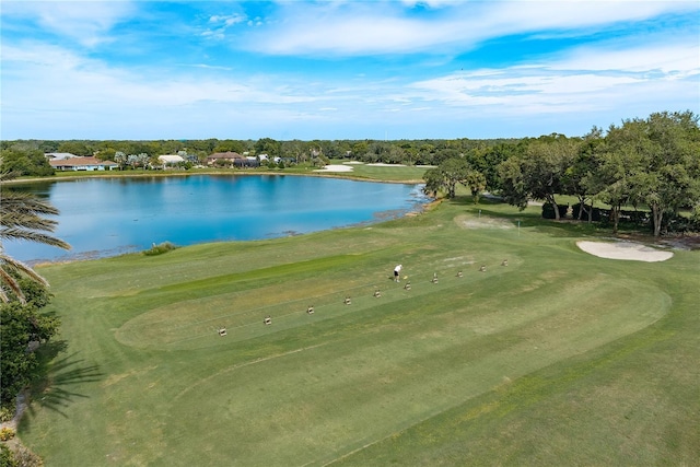 9223 Bonnie Cove Dr, Weeki Wachee, FL 34613 - photo 32