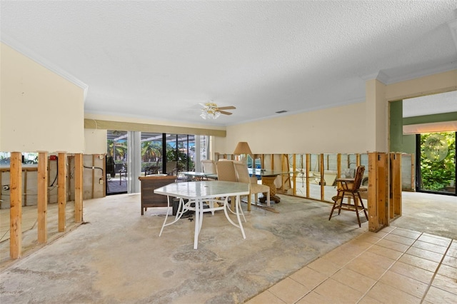 5030 Porpoise Pl, New Port Richey, FL 34652 - photo 18