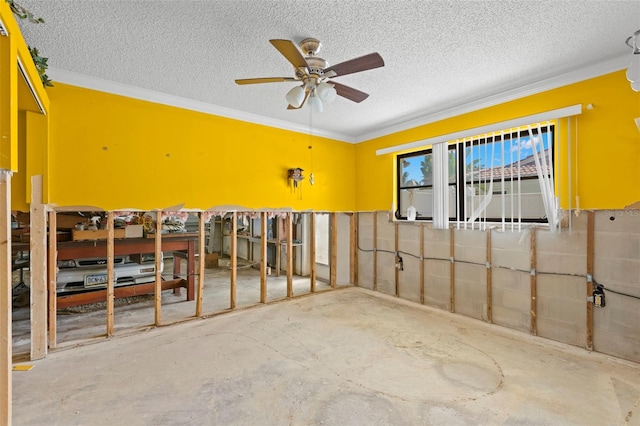 5030 Porpoise Pl, New Port Richey, FL 34652 - photo 28