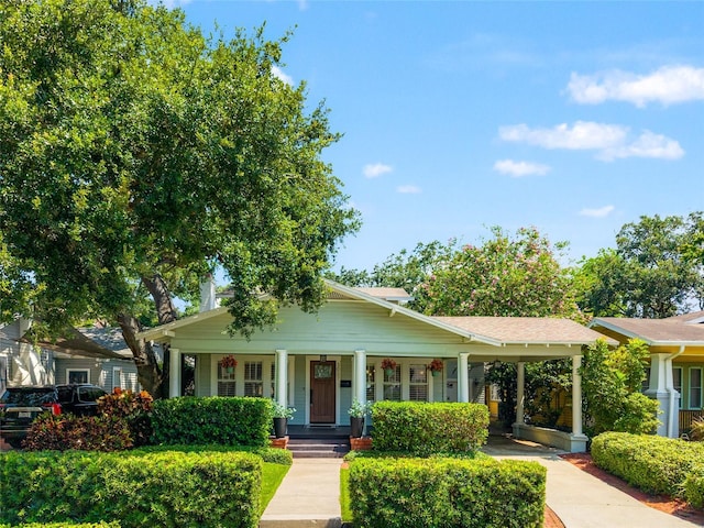3007 W Angeles St, Tampa, FL 33629 - photo 40