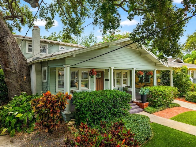 3007 W Angeles St, Tampa, FL 33629 - photo 41