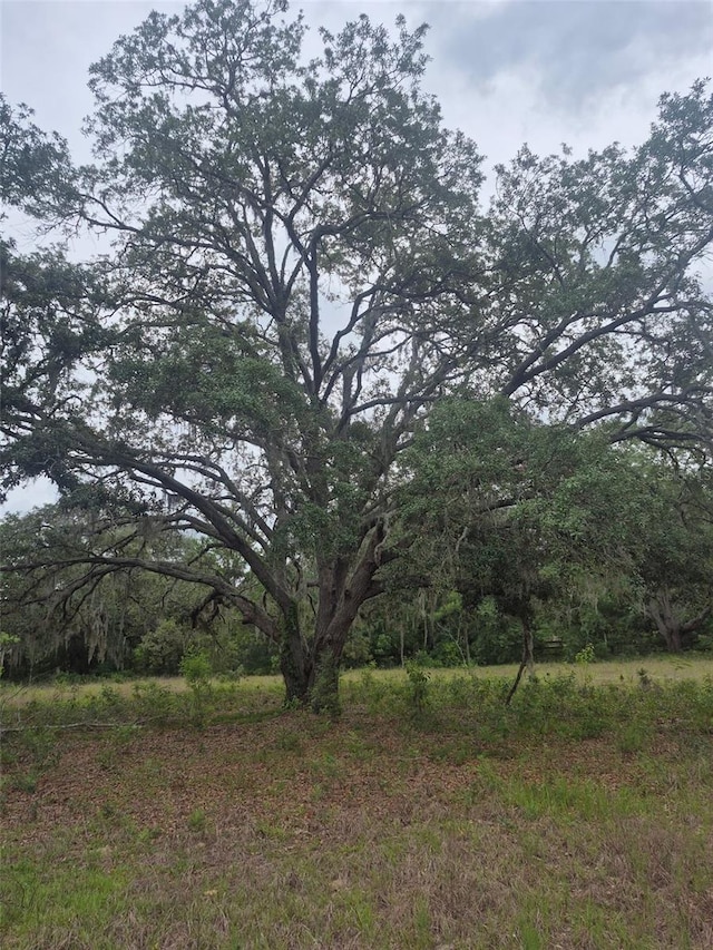6905 S Kitiwake Pt, Lecanto, FL 34461 - photo 8