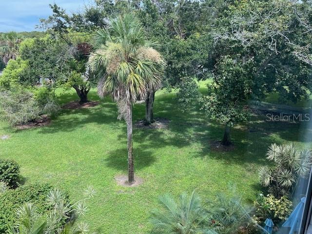 2426 Persian Dr Unit 62, Clearwater, FL 33763 - photo 26