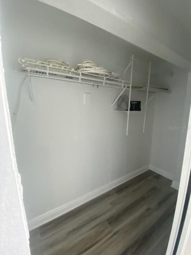 9013 Tudor Dr Unit G105, Tampa, FL 33615 - photo 14